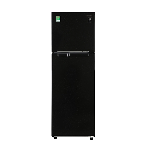 TỦ LẠNH SAMSUNG 2 CỬA INVERTER 264L-RT25M4032BU