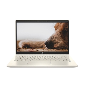 May tinh xach tay hp probook core i5 , máy tính xách tay hp CORE I5-1135G7--2Q5YPA , laptop hp CORE I5-1135G7--2Q5YPA , laptop hp probook core i5, may tinh xach tay hp CORE I5-1135G7--2Q5YPA , laptop hp tra gop, máy tính xách tay trả góp không trả trước, laptop hp core i5 tra gop, laptop hp CORE I5-1135G7--2Q5YPA
