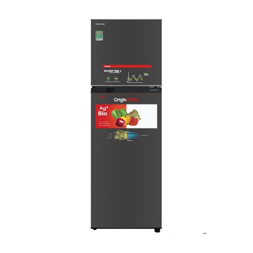 TỦ LẠNH TOSHIBA 2 CỬA  INVERTER 253L-B31VU(SK)