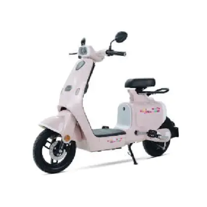 XE ĐẠP ĐIỆN DETECH ESPERO WEEZEE