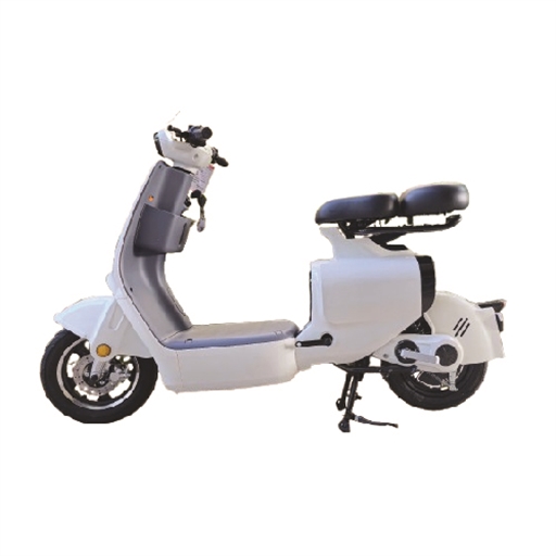 XE ĐẠP ĐIỆN VC DRACA