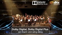 a02ed06b-4f58-43dd-b469-c0fe54bb55e3.jpg