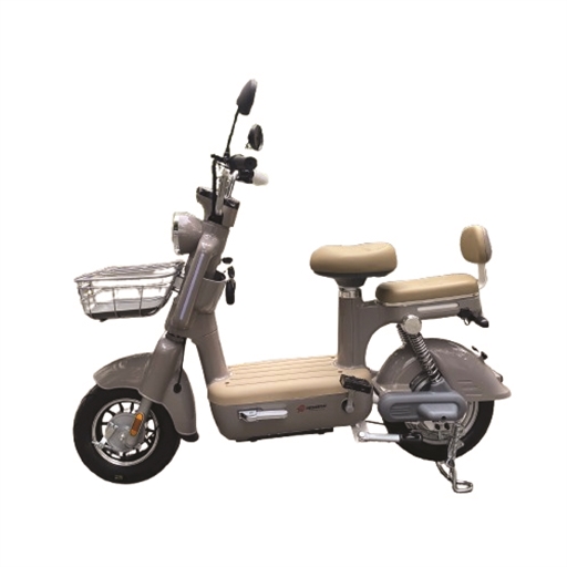 XE ĐẠP ĐIỆN HISOKA M02