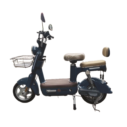 XE ĐẠP ĐIỆN SHUNQIHANG 350W MÀU XANH CỬU LONG