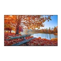 TIVI TCL ANDROID TIVI 32 INCH  32S6500