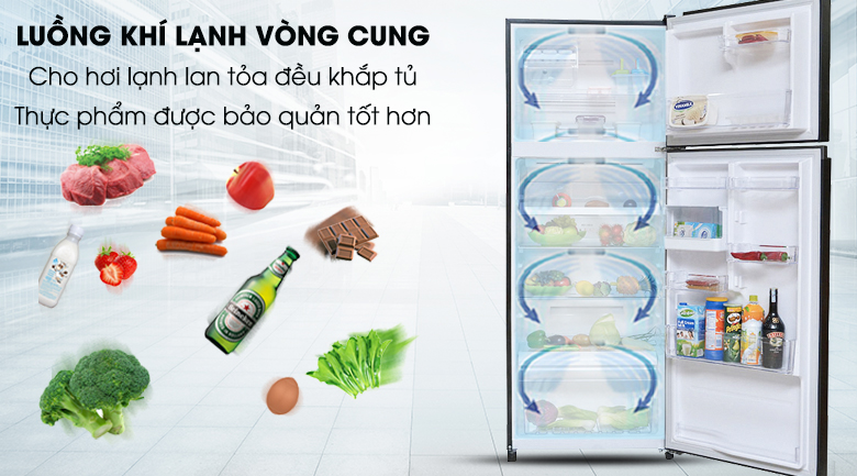 Tủ lạnh Toshiba Inverter 253 lít - Điện Máy Trả Góp Lê Triểu