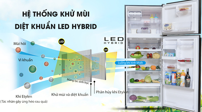 Tủ lạnh Toshiba Inverter 253 lít - Điện Máy Trả Góp Lê Triểu