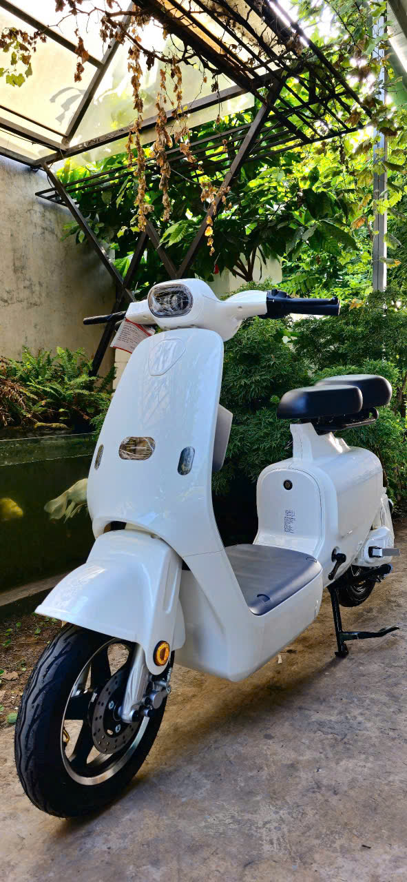 xe đạp điện draca vc