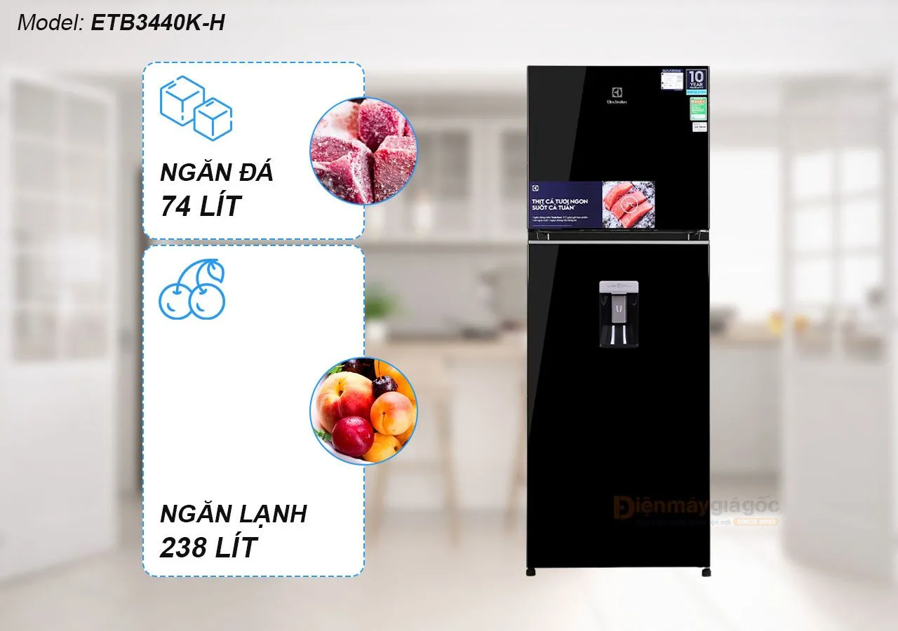 tủ lạnh electrolux ngăn đá trên 331l - Điện Máy Trả Góp Lê Triều