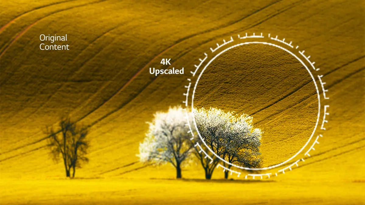 tivi sharp 65inch - Điện Máy Lê Triều