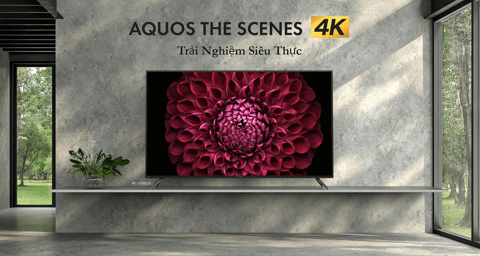 tivi sharp 70inch - Điện Máy Lê Triều