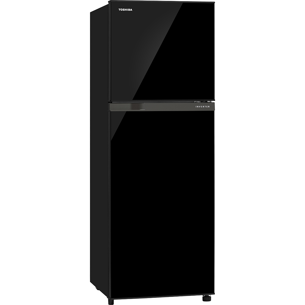 Tủ lạnh Toshiba Inverter 233 lít - Điện Máy Trả Góp Lê Triểu